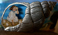 Song in the Shell