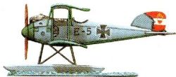 #  4 Albatros W4