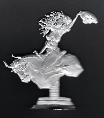 Bull Rider