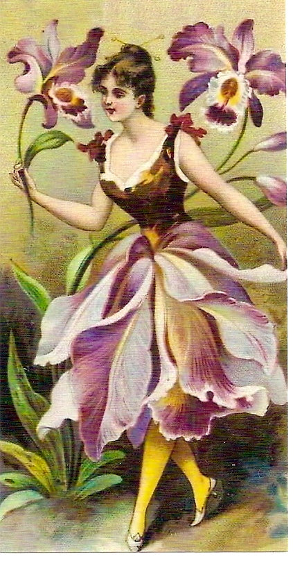 BM10  Die Orchidee (Orchid)
