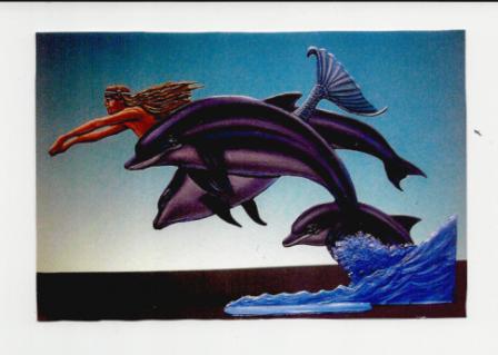 Dolphin Surfer