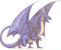 Drache-1  Dragon