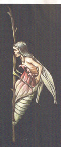 Faeries Birth