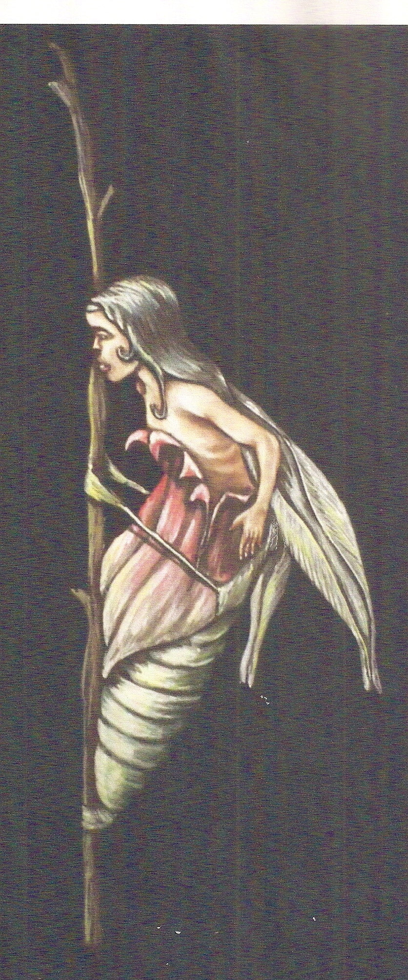Faeries Birth