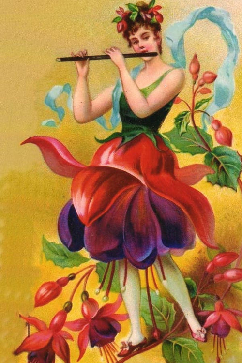 BM 8  Der Fushia (Fuschia)