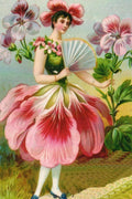 BM 5  Die Geranie (Geranium)