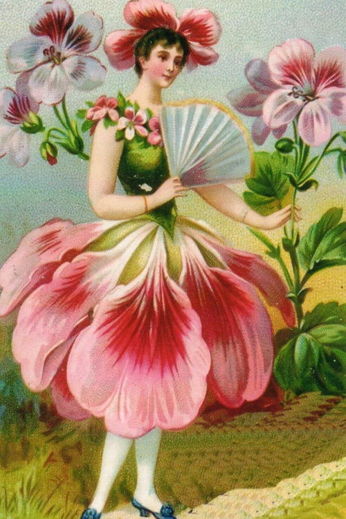 BM 5  Die Geranie (Geranium)