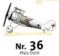 # 36 Pfalz D.VIII
