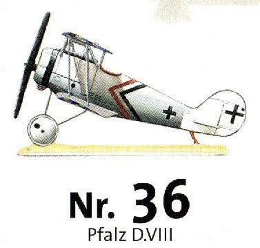 # 36 Pfalz D.VIII
