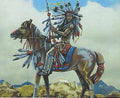 Plains Indian