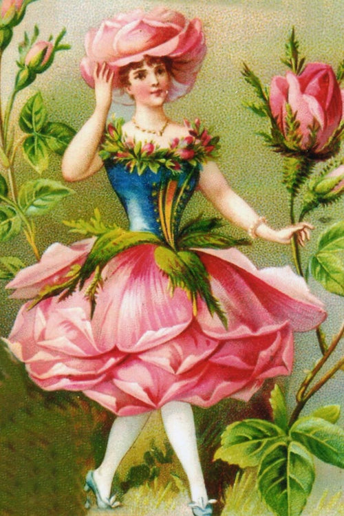 BM 1  Die Rose (Rose)