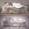 Sleeping Beauty
