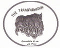 The Transformation