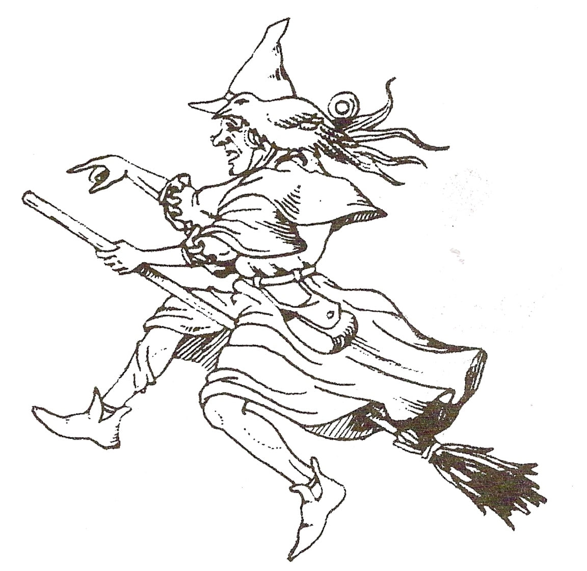 E 170 Witch riding broomstick with Raven